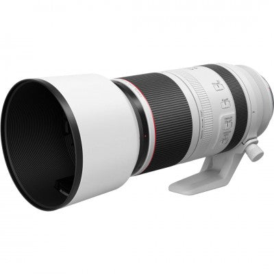 Canon EOS R6 Mirrorless Digital Camera w/ RF 100-500mm f/4.5-7.1L IS USM Lens