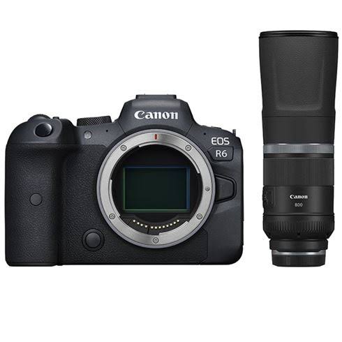 Canon EOS R6 Mirrorless Digital Camera With 800mm F/11 IS STM Lens