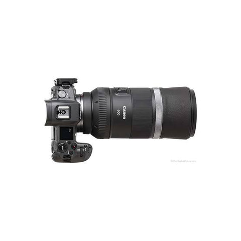 Canon EOS R6 Mirrorless Digital Camera With 600mm F/11 IS STM Lens