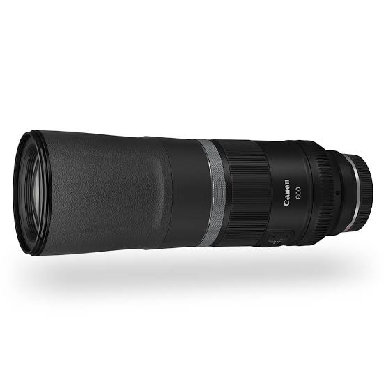 Canon EOS R6 Mirrorless Digital Camera With 800mm F/11 IS STM Lens